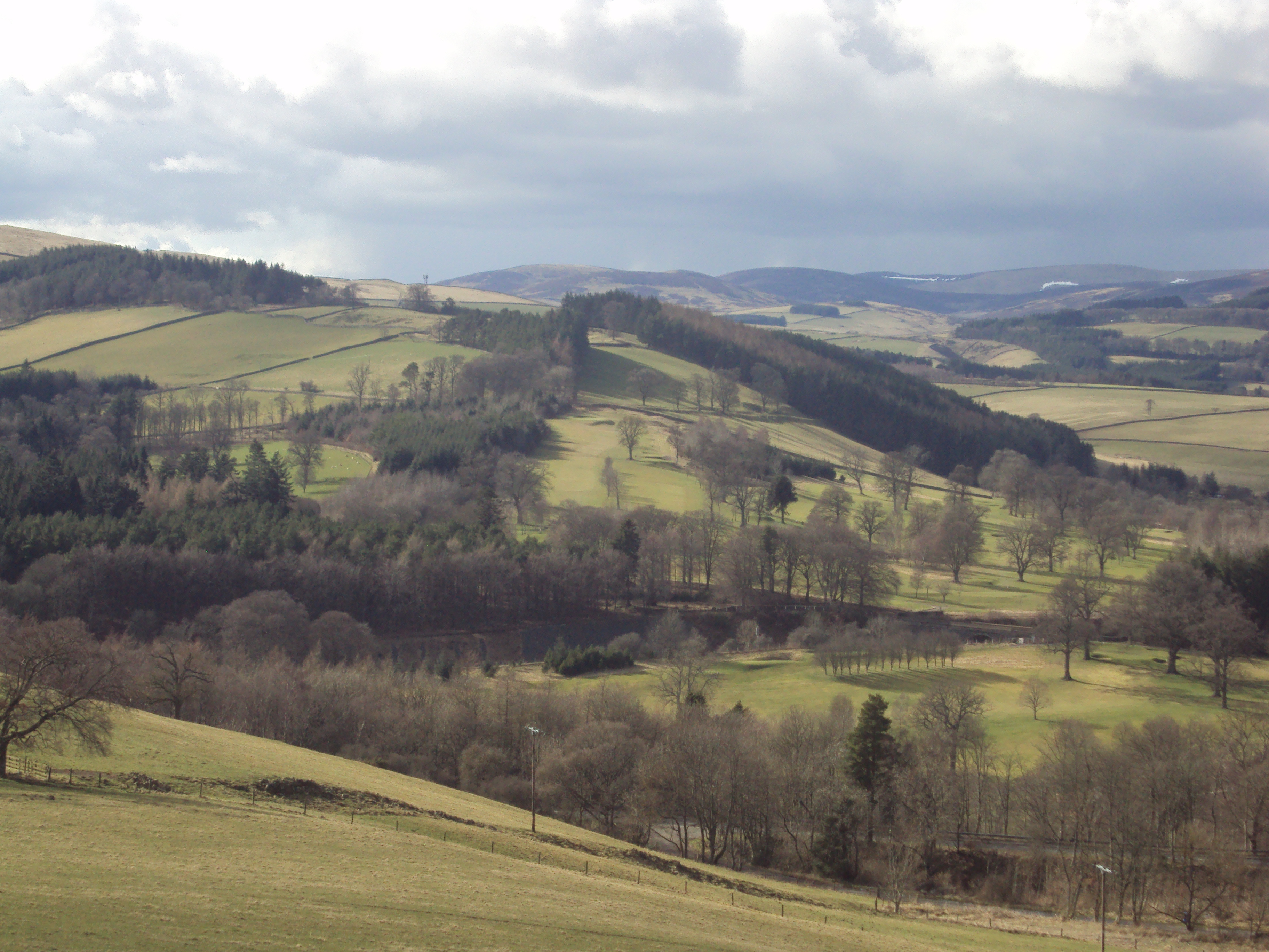 180325 Mains Hill and Bowland woodlands