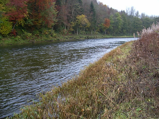 Fishing at Torwoodlee