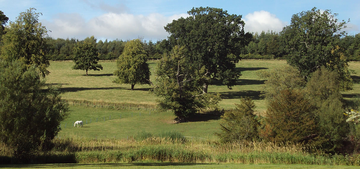 Torwoodlee parkland