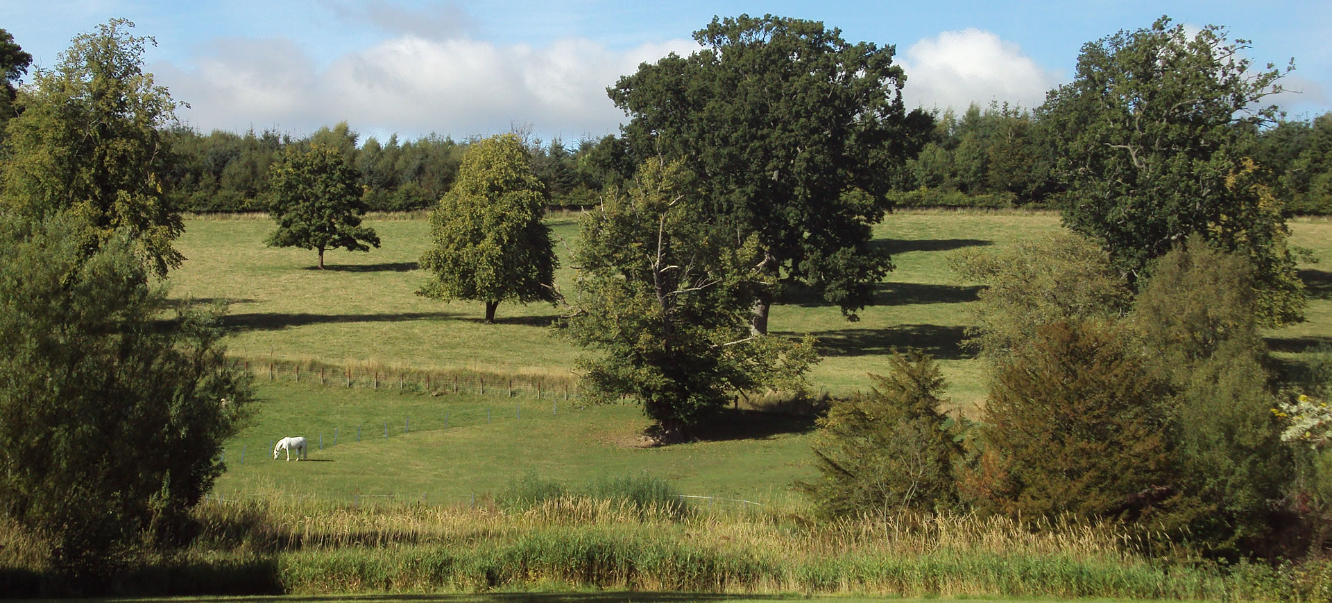 Torwoodlee parkland